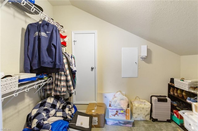 2816 Gavin Rd Unit 14, Chesapeake, VA 23323 - storage with electric panel