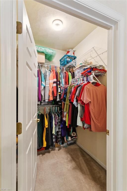 903 Rustads Cir, Williamsburg, VA 23188 - walk in closet featuring carpet