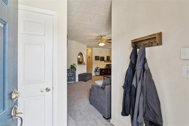 903 Rustads Cir, Williamsburg, VA 23188 - living area with carpet floors and ceiling fan