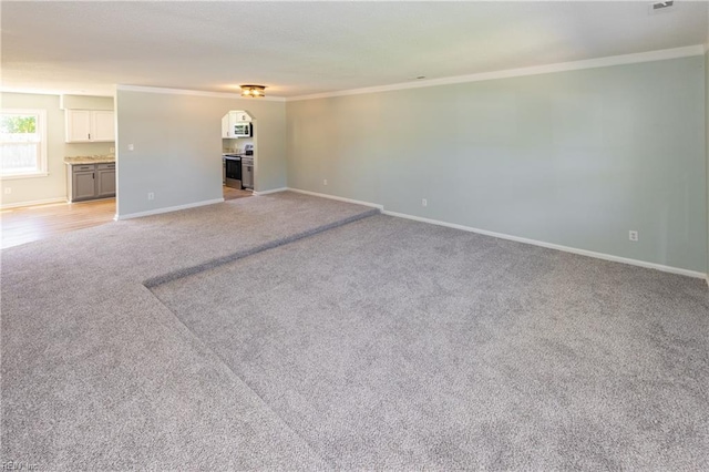 3809 Hazel Ct, Virginia Beach, VA 23456 - unfurnished living room featuring light colored carpet, crown molding, and arched walkways