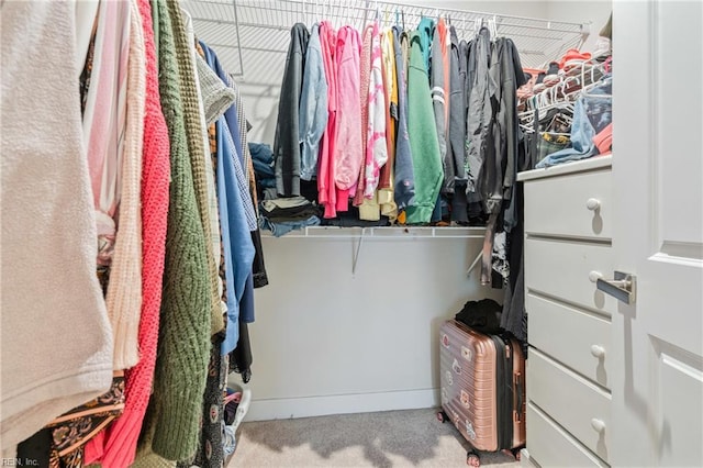1728 Shorebird Ln, Virginia Beach, VA 23456 - spacious closet with carpet flooring