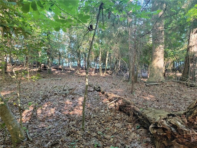 3989 River Landing Trl, Smithfield, VA 23430