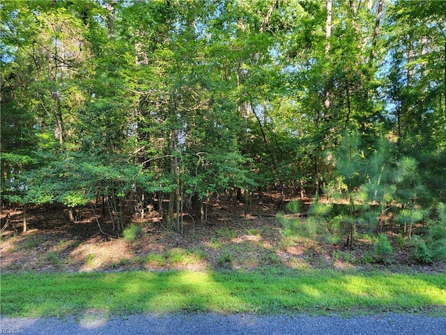 3989 River Landing Trl, Smithfield, VA 23430