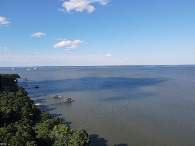 3989 River Landing Trl, Smithfield, VA 23430