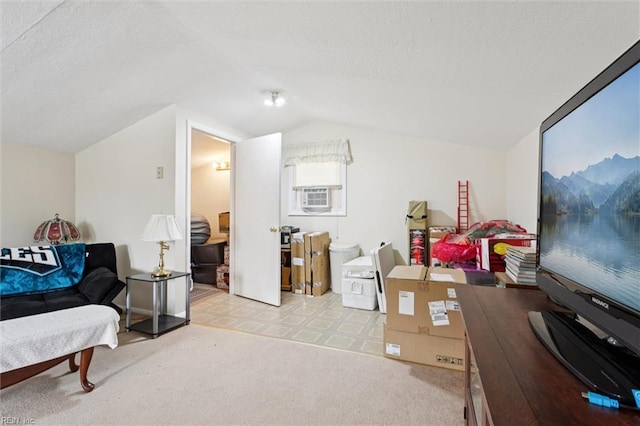 12 Sylvia Ln, Newport News, VA 23602 - office area featuring cooling unit and vaulted ceiling