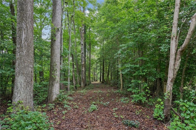 5AC Paynes Landing Rd, Gloucester, VA 23061