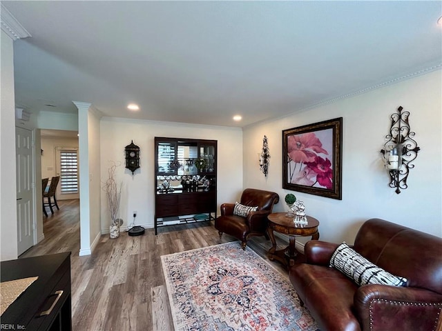120 Lancelot Dr, Suffolk, VA 23434 - living area featuring wood finished floors, crown molding, and recessed lighting