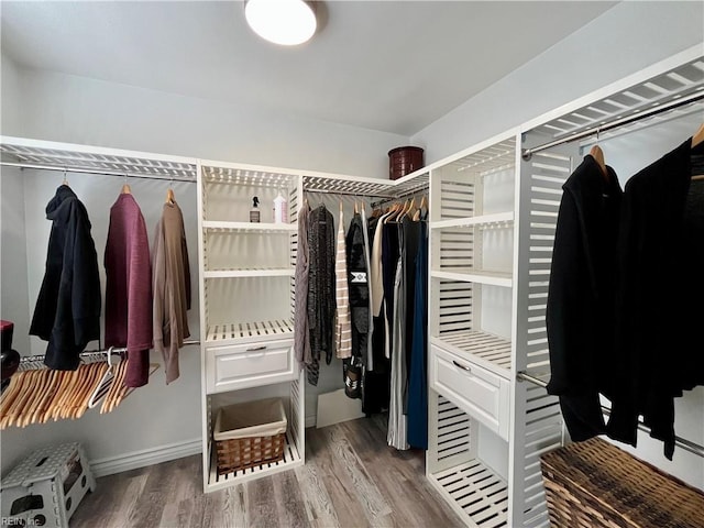120 Lancelot Dr, Suffolk, VA 23434 - walk in closet featuring wood finished floors