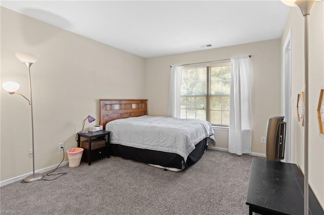 3904 River Breeze Cir, Chesapeake, VA 23321 - bedroom featuring carpet floors