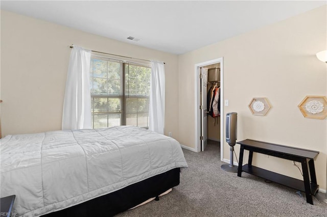 3904 River Breeze Cir, Chesapeake, VA 23321 - carpeted bedroom featuring a spacious closet and a closet