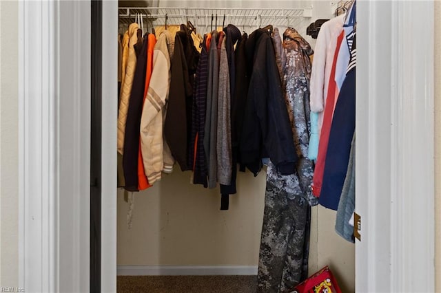 3904 River Breeze Cir, Chesapeake, VA 23321 - view of walk in closet
