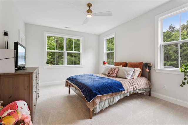 104 Tucker Ct, Carrollton, VA 23314 - carpeted bedroom with multiple windows and ceiling fan