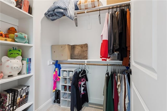 104 Tucker Ct, Carrollton, VA 23314 - walk in closet with carpet floors