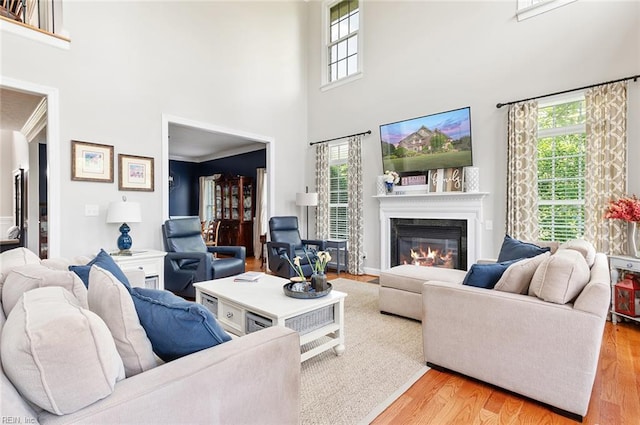 101 Ryder, Smithfield, VA 23430 - living room with a high ceiling, healthy amount of natural light, light wood-style floors, and a glass covered fireplace