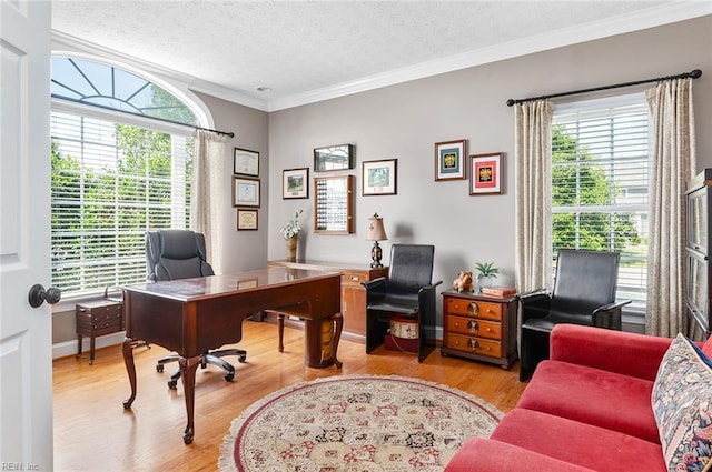 101 Ryder, Smithfield, VA 23430 - office area with wood finished floors, crown molding, and a textured ceiling