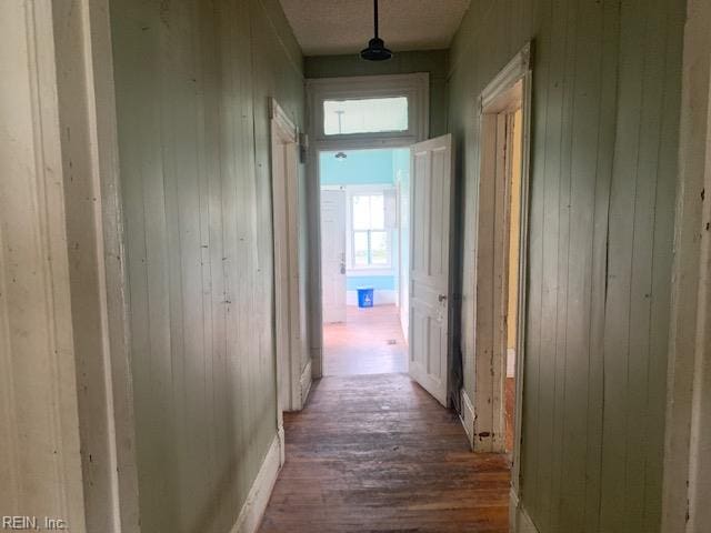 603 N High St, Franklin, VA 23851 - hall with dark wood-style floors and wood walls