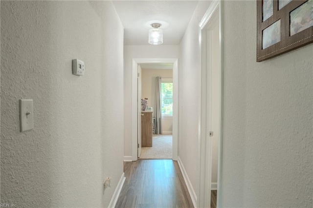 2028 Hickorywood Dr, Suffolk, VA 23434 - hallway with wood finished floors and a textured wall