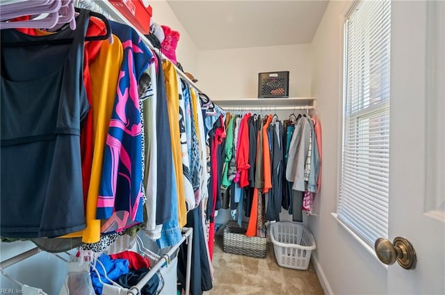 2025 Allison Dr, Chesapeake, VA 23325 - view of spacious closet