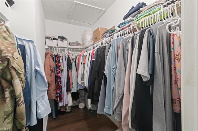 730 Kings Ridge Dr, Newport News, VA 23608 - walk in closet with attic access and wood finished floors