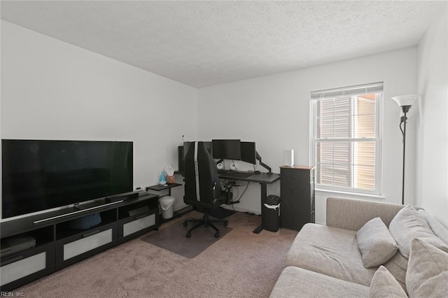 730 Kings Ridge Dr, Newport News, VA 23608 - carpeted home office featuring a textured ceiling