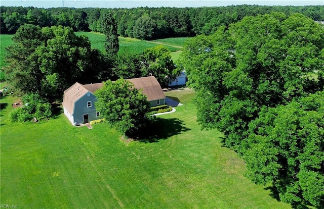 160 Outlaw Ln, Suffolk, VA 23435 - view from above of property featuring a forest