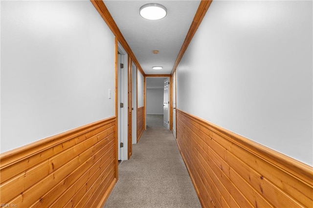 160 Outlaw Ln, Suffolk, VA 23435 - corridor featuring a wainscoted wall, light colored carpet, wooden walls, and ornamental molding