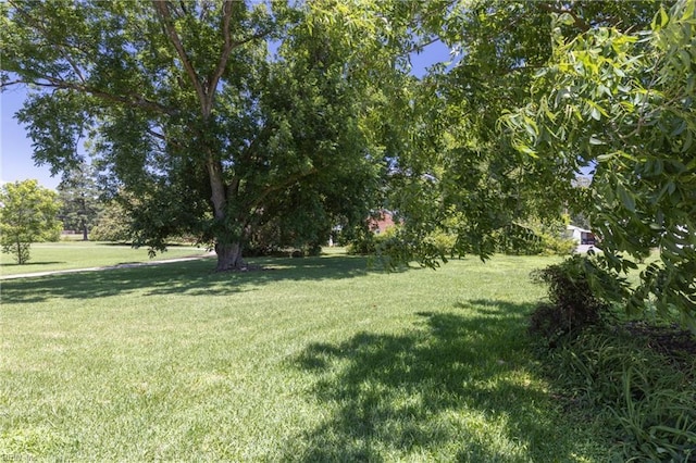 160 Outlaw Ln, Suffolk, VA 23435 - view of grassy yard