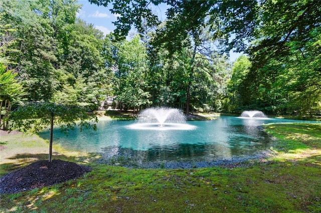 518 Spring Trce, Williamsburg, VA 23188 - water view