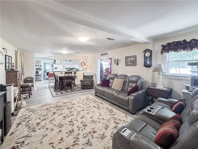 1912 Pleasant Ridge Rd, Virginia Beach, VA 23457 - living room featuring light wood-style floors