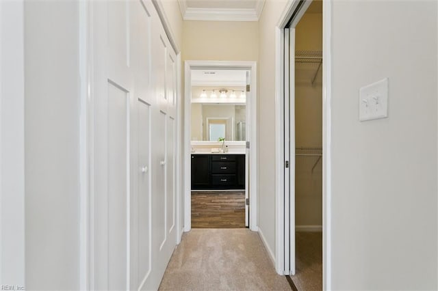 1402 Farringdon Way, Williamsburg, VA 23185 - hall featuring ornamental molding and light colored carpet