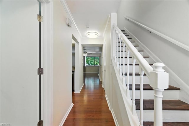 233 Mill Point Dr, Hampton, VA 23669 - staircase featuring wood finished floors, a ceiling fan, and ornamental molding