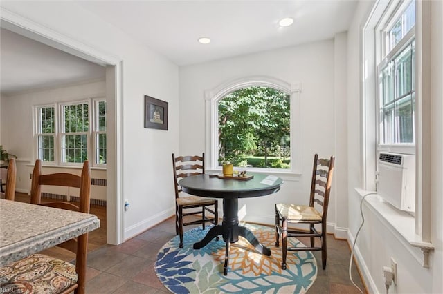 11 Elm Ave, Newport News, VA 23601 - tiled dining space featuring plenty of natural light, recessed lighting, and radiator