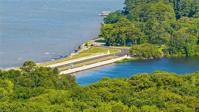 11 Elm Ave, Newport News, VA 23601 - drone / aerial view of a heavily wooded area and a nearby body of water