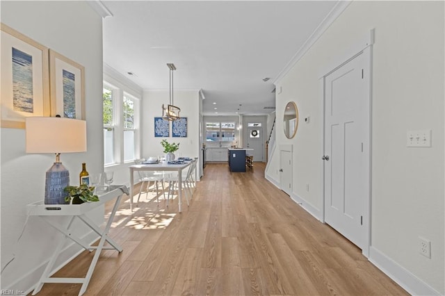 516 26th St, Virginia Beach, VA 23451 - hallway with light wood finished floors, ornamental molding, and plenty of natural light