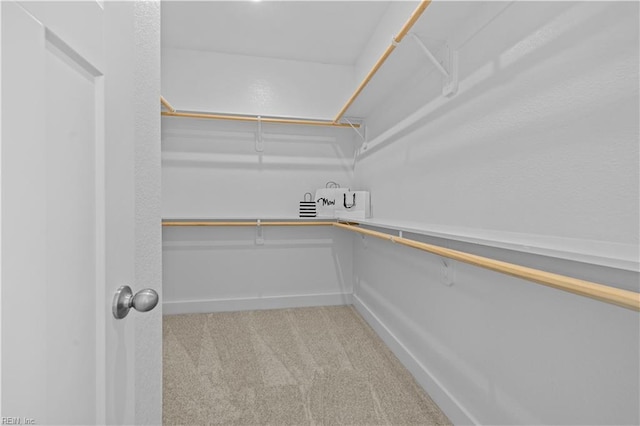 516 26th St, Virginia Beach, VA 23451 - walk in closet featuring light carpet