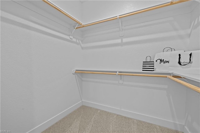 516 26th St, Virginia Beach, VA 23451 - spacious closet with light colored carpet