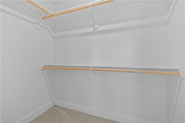 516 26th St, Virginia Beach, VA 23451 - walk in closet with carpet floors