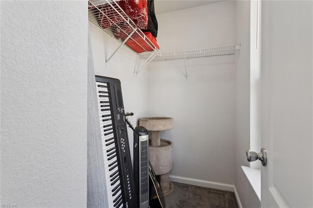 208 Parkdale Ave, Hampton, VA 23669 - walk in closet featuring carpet flooring