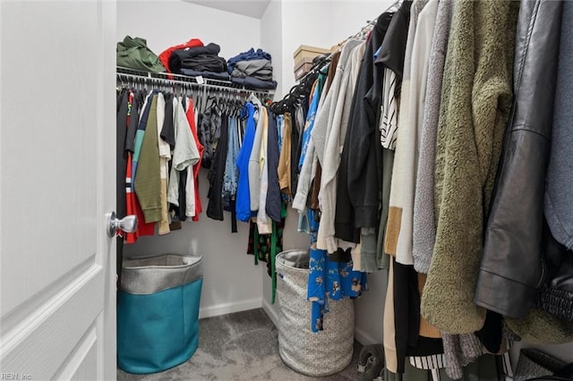 208 Parkdale Ave, Hampton, VA 23669 - walk in closet with carpet