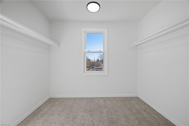 10 Church St, Windsor, VA 23487 - spacious closet with carpet floors