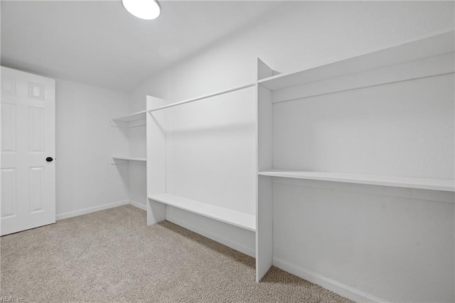 10 Church St, Windsor, VA 23487 - walk in closet featuring carpet floors