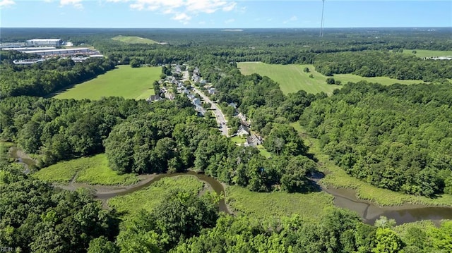 4041 Hargrove Lndg, Suffolk, VA 23435 - aerial view of property and surrounding area with a heavily wooded area