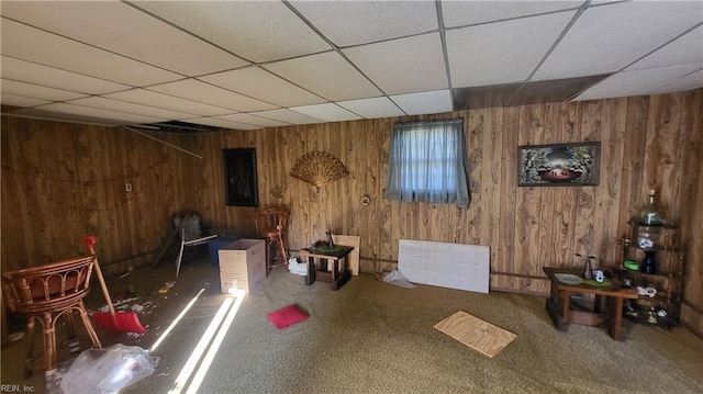2209 Saint Denis Ave, Norfolk, VA 23509 - basement with a drop ceiling, wooden walls, and carpet floors
