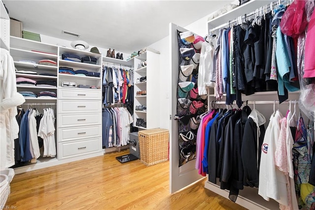 4028 Timber Ridge Dr, Virginia Beach, VA 23455 - spacious closet with light wood-type flooring