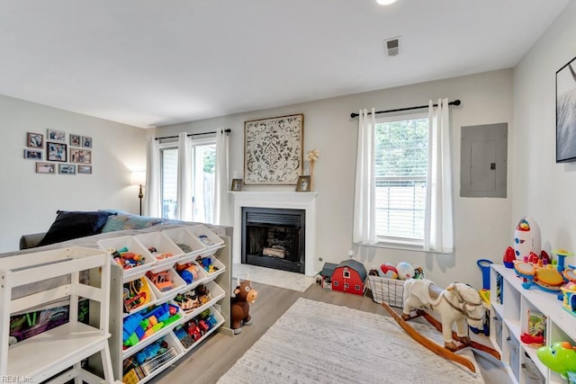 188 Squire Reach Reach, Suffolk, VA 23434 - bedroom with electric panel, multiple windows, a fireplace with flush hearth, and wood finished floors