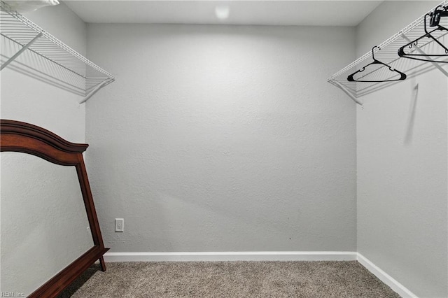 78 Calvary Ter, Hampton, VA 23666 - walk in closet featuring carpet