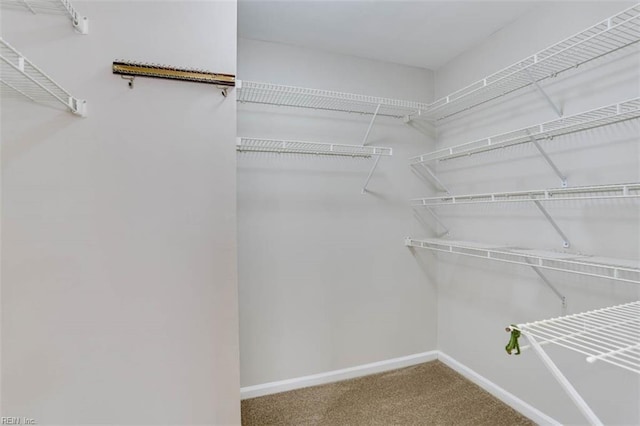 816 Mccrae Dr, Newport News, VA 23608 - spacious closet with carpet floors