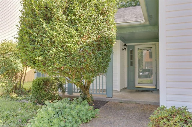 816 Mccrae Dr, Newport News, VA 23608 - view of exterior entry
