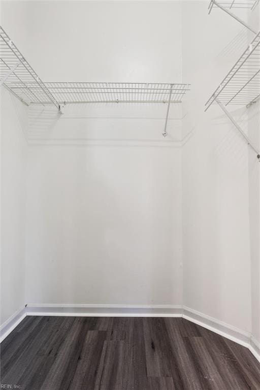 100 Peacepipe Pl, Williamsburg, VA 23185 - walk in closet featuring dark wood finished floors