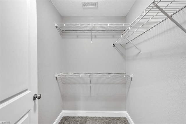 464 Factory St, Suffolk, VA 23434 - walk in closet with carpet floors
